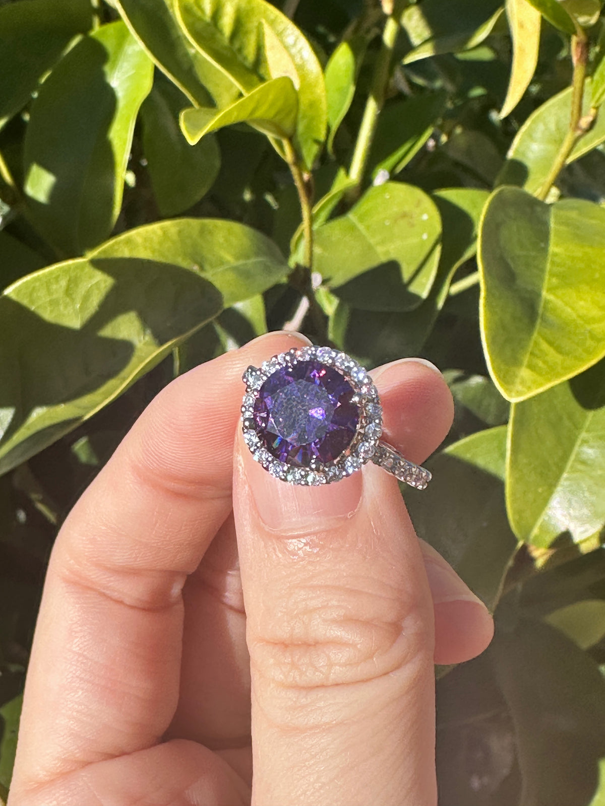 Unique Round Purple Amethyst Halo Ring
